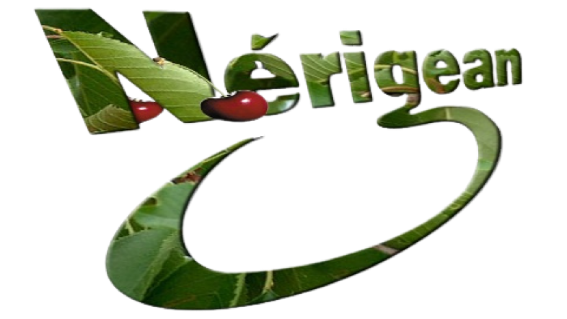 Logo Crédit Agricole